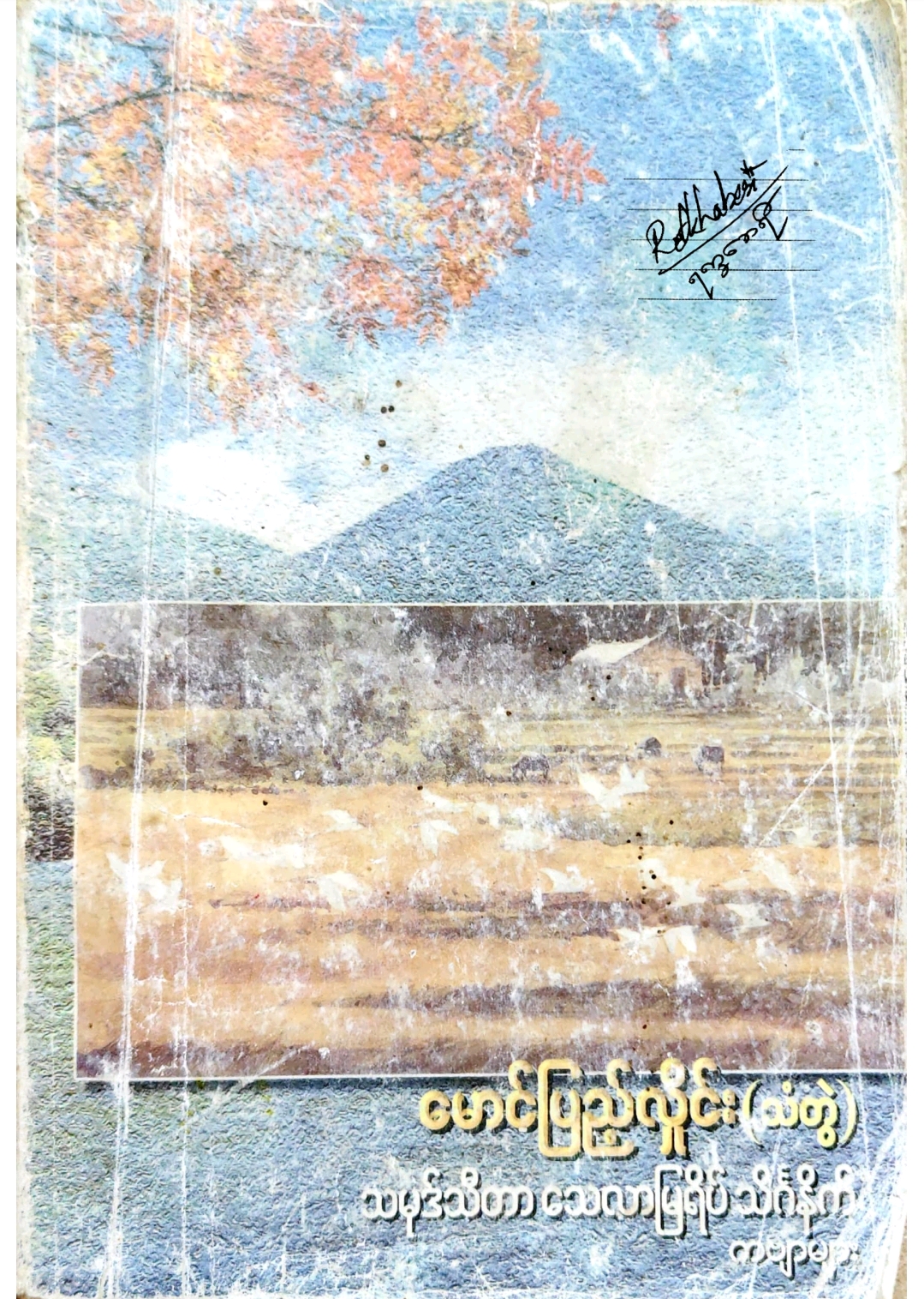 Book Cover